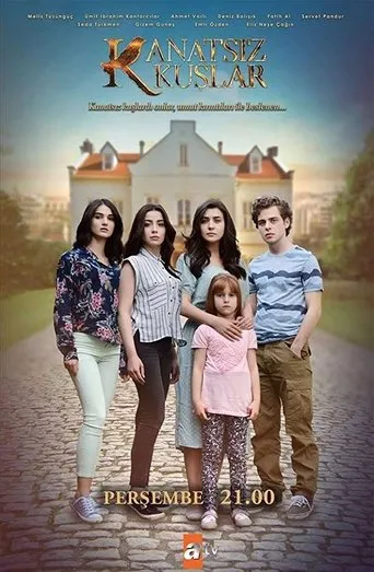 Póster de la serie Alas rotas