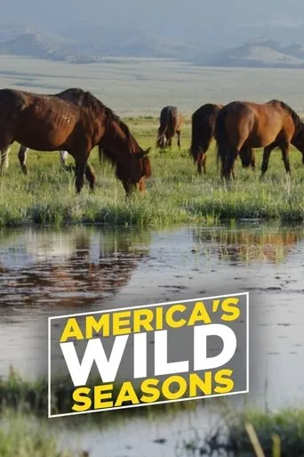Póster de la serie America's Wild Seasons