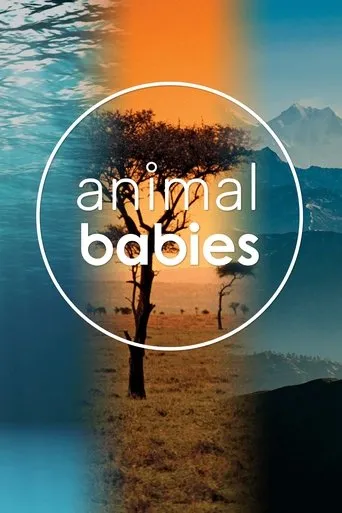Póster de la serie Animal Babies