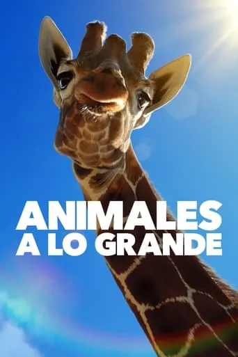 Póster de la serie Animales a lo grande
