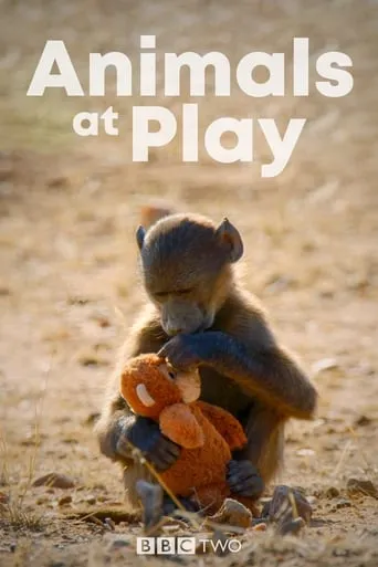Póster de la serie Animals at Play
