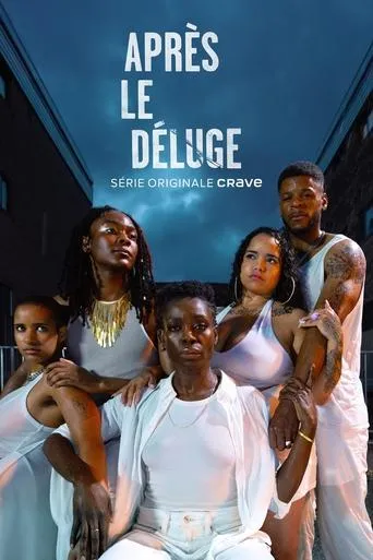 Póster de la serie Après le déluge
