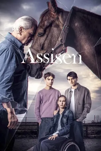 Póster de la serie Assisen