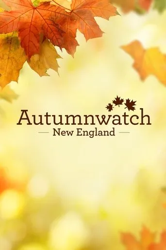 Póster de la serie Autumnwatch New England