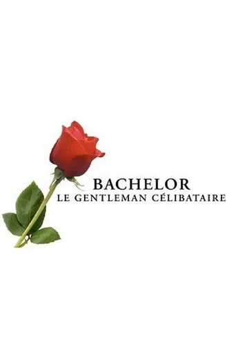 Póster de la serie Bachelor, le gentleman célibataire