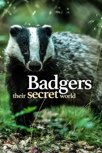 Póster de la serie Badgers: Their Secret World