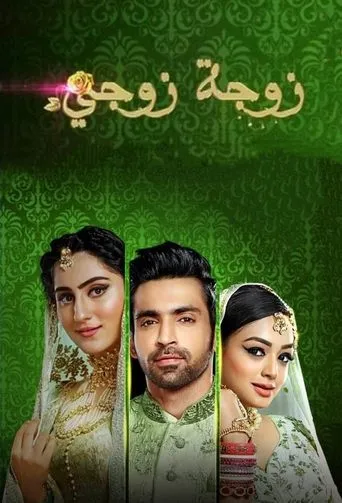 Póster de la serie Bahu Begum