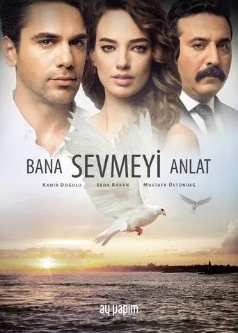 Póster de la serie Bana Sevmeyi Anlat