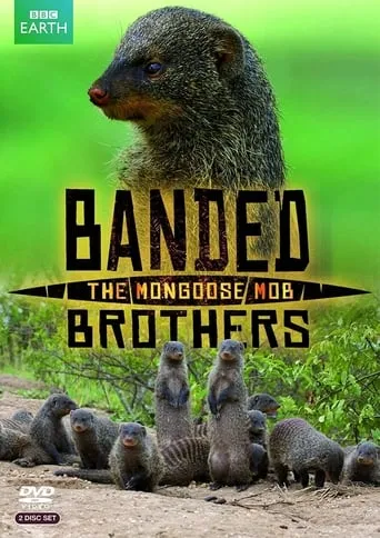 Póster de la serie Banded Brothers