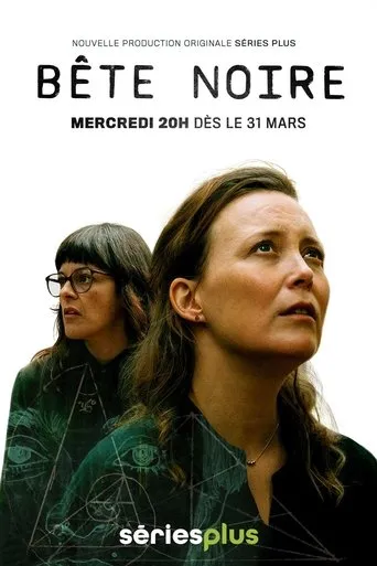 Póster de la serie Bête noire