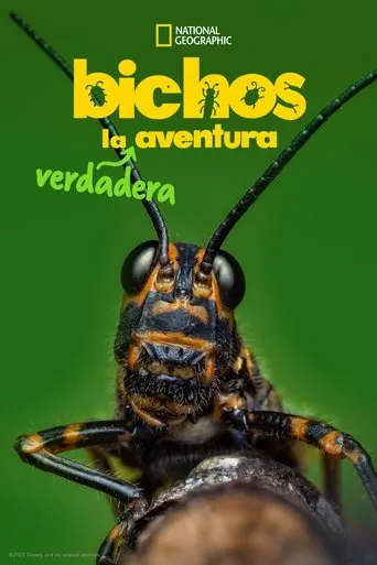 Póster de la serie Bichos: La verdadera aventura