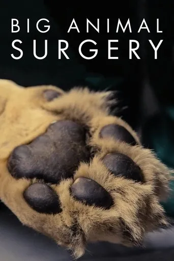 Póster de la serie Big Animal Surgery