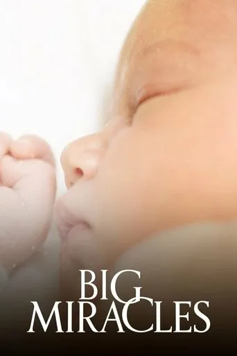 Póster de la serie Big Miracles