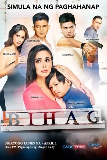 Póster de la serie Bihag