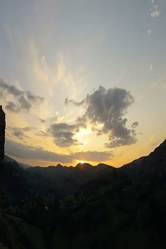 Póster de la serie Biomimicry