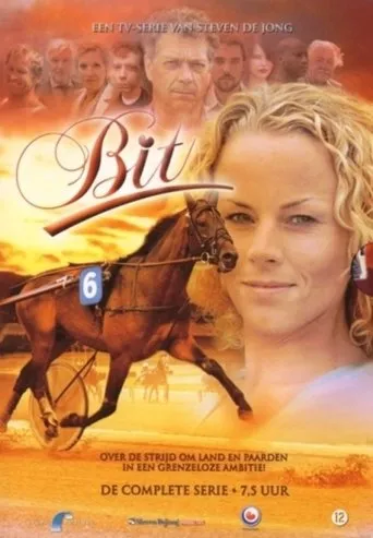 Póster de la serie Bit