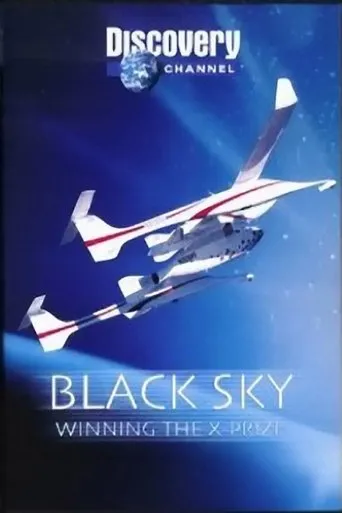 Póster de la serie Black Sky