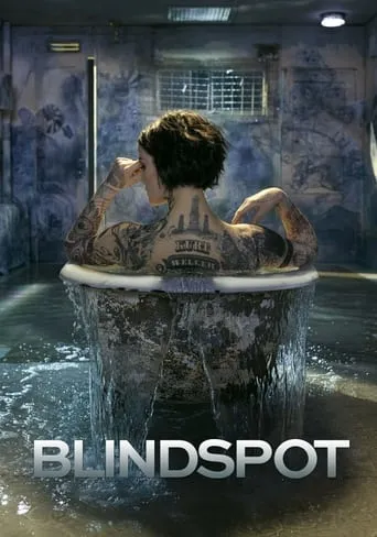 Póster de la serie Blindspot