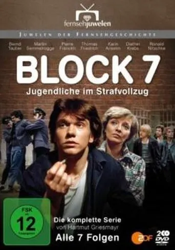 Póster de la serie Block 7