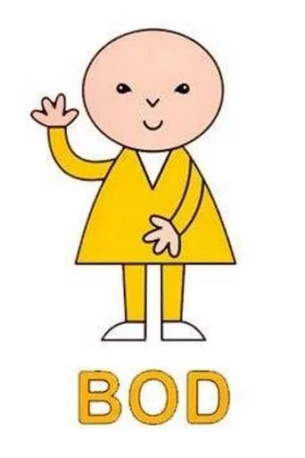 Póster de la serie Bod