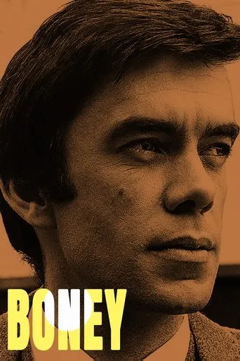 Póster de la serie Boney
