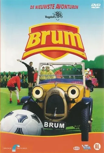 Póster de la serie Brum