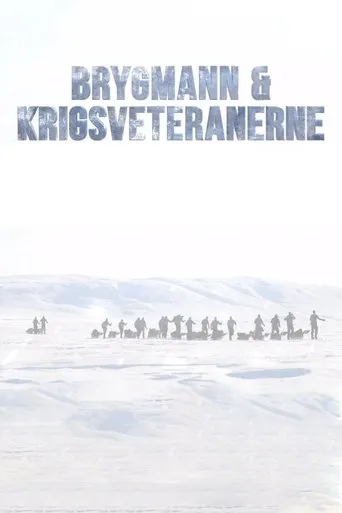 Póster de la serie Brygmann og krigsveteranerne
