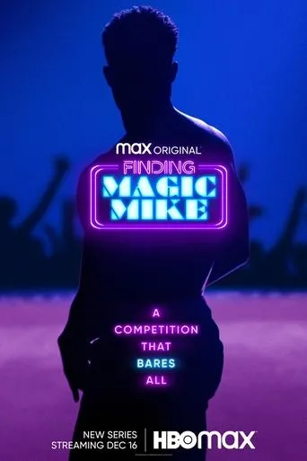 Póster de la serie Buscando a Magic Mike