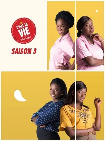 Póster de la serie C'est la vie !