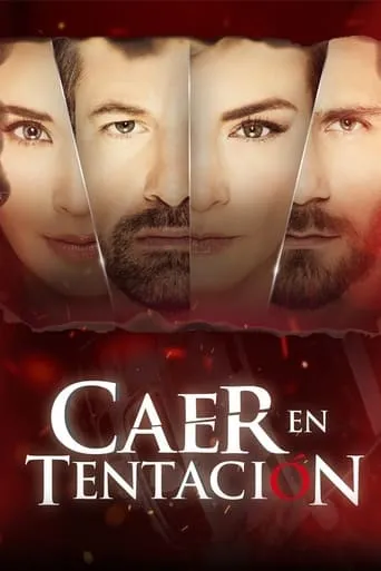 Póster de la serie Caer en tentación