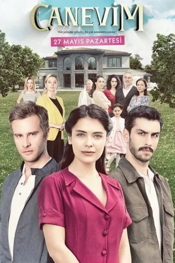 Póster de la serie Canevim