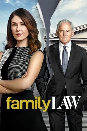 Póster de la serie Casos de familia