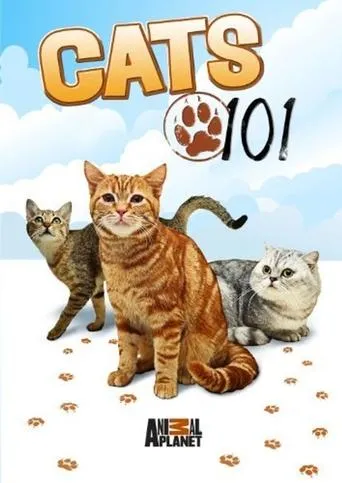 Póster de la serie Cats 101
