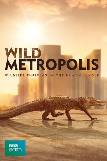 Póster de la serie Cities: Nature's New Wild