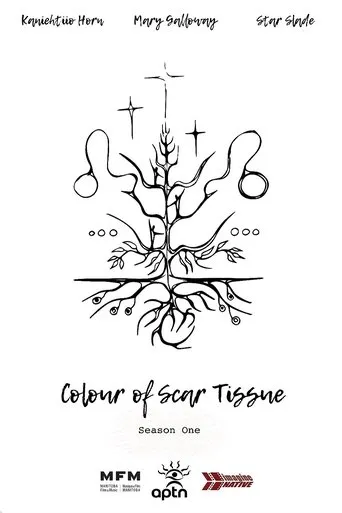 Póster de la serie Colour of Scar Tissue