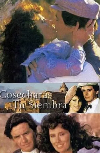 Póster de la serie Cosecharás tu siembra