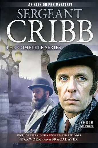 Póster de la serie Cribb