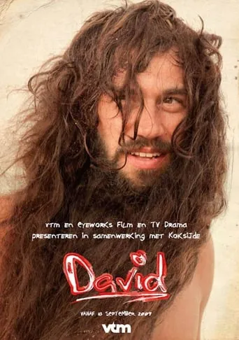 Póster de la serie David