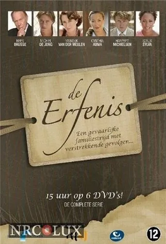 Póster de la serie De Erfenis