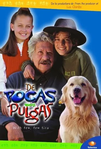 Póster de la serie De pocas pocas pulgas