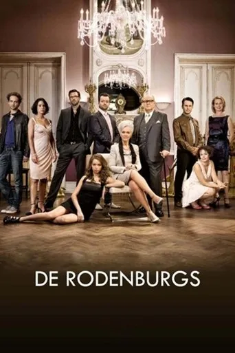Póster de la serie De Rodenburgs
