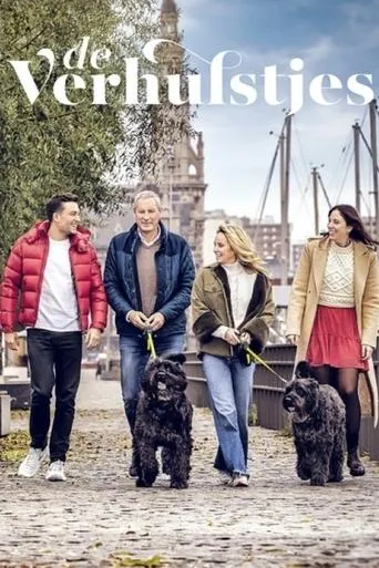 Póster de la serie De Verhulstjes