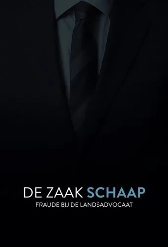 Póster de la serie De Zaak Schaap: fraude bij de landsadvocaat