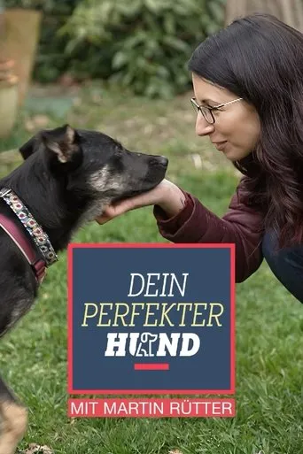 Póster de la serie Dein perfekter Hund