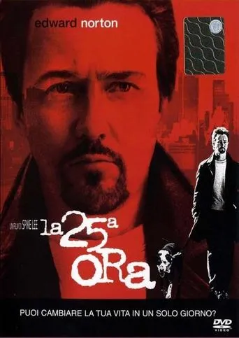 Póster de la serie Die 25. Stunde