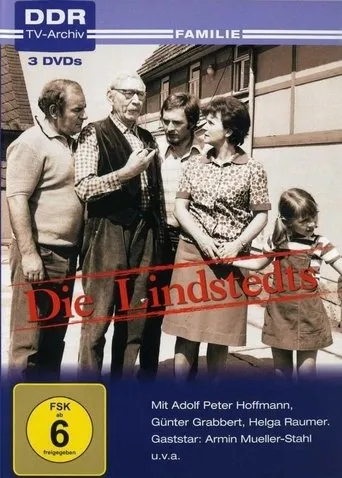 Póster de la serie Die Lindstedts
