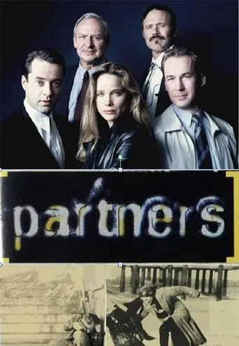 Póster de la serie Die Partner