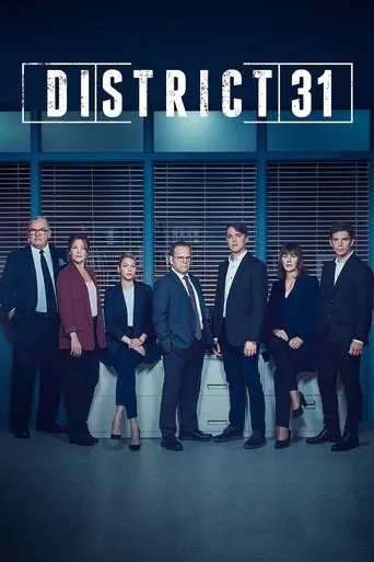 Póster de la serie District 31