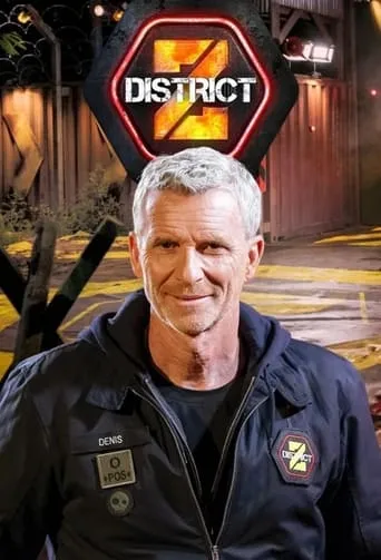 Póster de la serie District Z