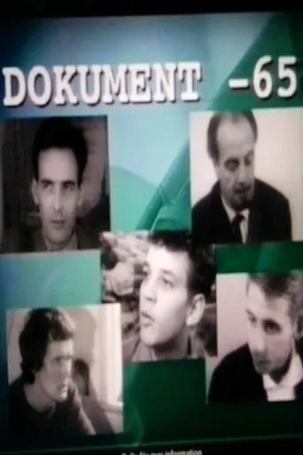 Póster de la serie Dokument 65